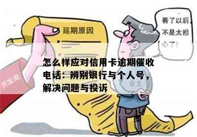 怎么样应对信用卡逾期电话：辨别银行与个人号，解决问题与投诉