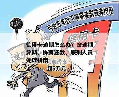 信用卡逾期怎么办？含逾期分期、协商还款、服刑人员处理指南