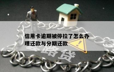 信用卡逾期被停拉了怎么办理还款与分期还款