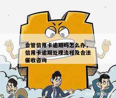 会管信用卡逾期吗怎么办，信用卡逾期处理流程及合法咨询