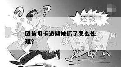 因信用卡逾期被抓了怎么处理？