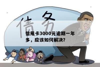 信用卡3000元逾期一年多，应该如何解决？