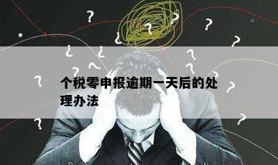 个税零申报逾期一天后的处理办法