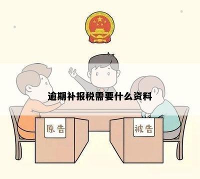 逾期补报税需要什么资料