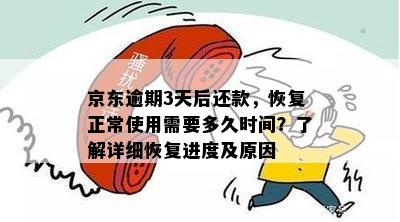 京东逾期3天后还款，恢复正常使用需要多久时间？了解详细恢复进度及原因