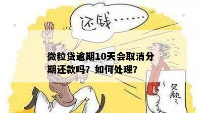 微粒贷逾期10天会取消分期还款吗？如何处理？