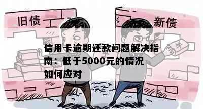 信用卡逾期还款问题解决指南：低于5000元的情况如何应对