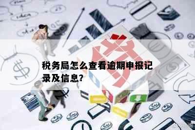 税务局怎么查看逾期申报记录及信息？