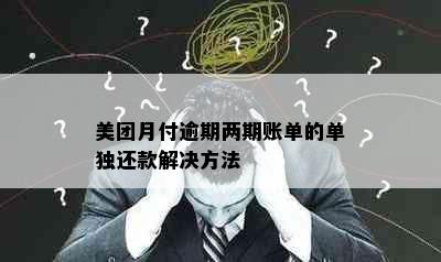 美团月付逾期两期账单的单独还款解决方法