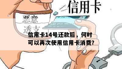 信用卡14号还款后，何时可以再次使用信用卡消费？