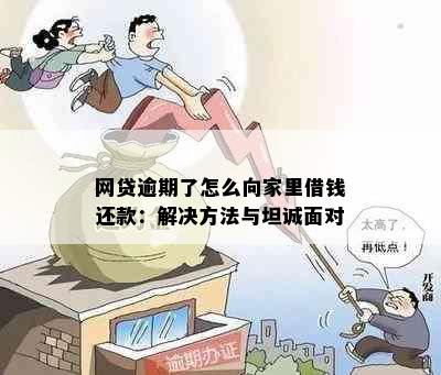 网贷逾期了怎么向家里借钱还款：解决方法与坦诚面对