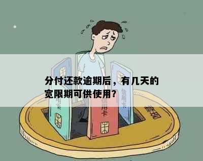 分付还款逾期后，有几天的宽限期可供使用？