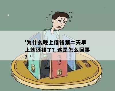 '为什么晚上借钱第二天早上就还钱了？这是怎么回事？'