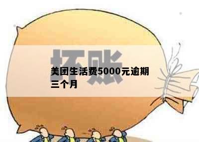 美团生活费5000元逾期三个月