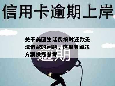 关于美团生活费按时还款无法借款的问题，这里有解决方案供您参考