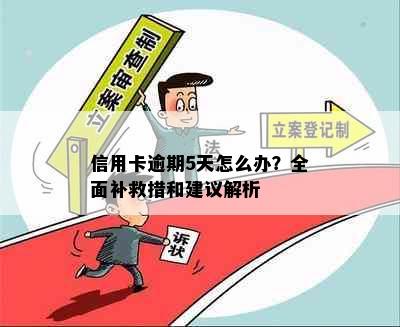 信用卡逾期5天怎么办？全面补救措和建议解析