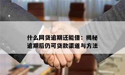 什么网贷逾期还能借：揭秘逾期后仍可贷款渠道与方法