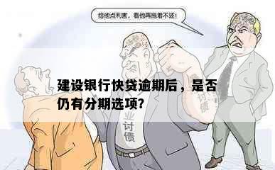 建设银行快贷逾期后，是否仍有分期选项？