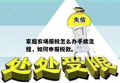 家庭农场报税怎么办手续流程，如何申报税款。