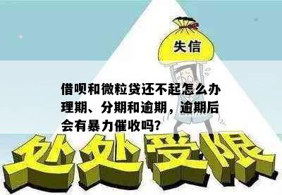 借呗和微粒贷还不起怎么办理期、分期和逾期，逾期后会有吗？