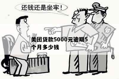 美团贷款5000元逾期5个月多少钱