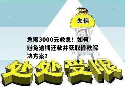 急需3000元救急！如何避免逾期还款并获取借款解决方案？