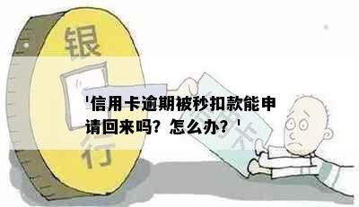 '信用卡逾期被秒扣款能申请回来吗？怎么办？'