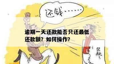 逾期一天还款能否只还更低还款额？如何操作？