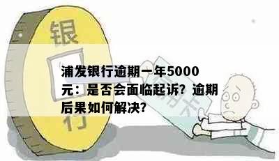 浦发银行逾期一年5000元：是否会面临起诉？逾期后果如何解决？