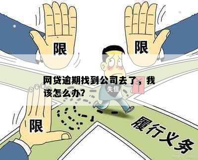 网贷逾期找到公司去了，我该怎么办？