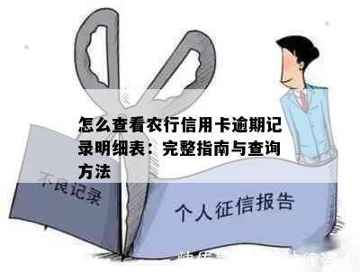 怎么查看农行信用卡逾期记录明细表：完整指南与查询方法