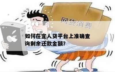 如何在宜人贷平台上准确查询剩余还款金额？