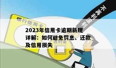 2023年信用卡逾期新规详解：如何避免罚息、还款及信用损失