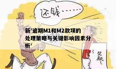 新'逾期M1和M2款项的处理策略与关键影响因素分析'