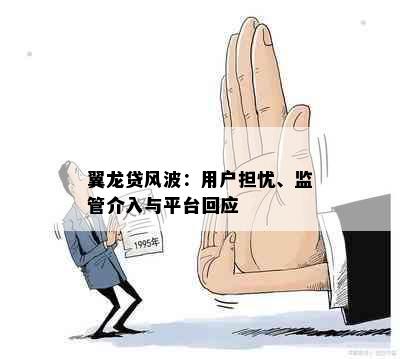 翼龙贷风波：用户担忧、监管介入与平台回应