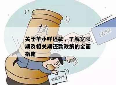 关于羊小咩还款，了解宽限期及相关期还款政策的全面指南