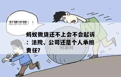 蚂蚁微贷还不上会不会起诉：法院、公司还是个人承担责任？