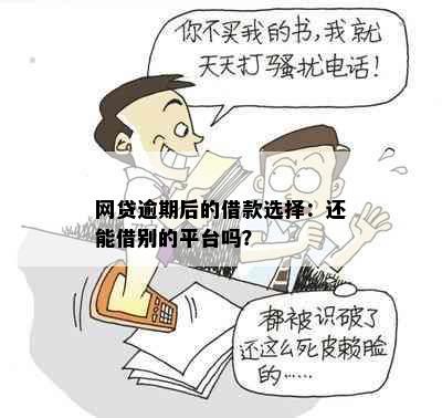 网贷逾期后的借款选择：还能借别的平台吗？