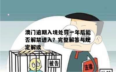 逾期入境处罚一年后能否解禁进入？完整解答与规定解读