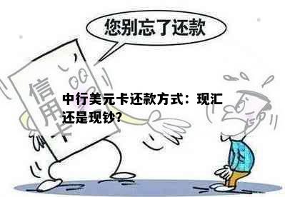 中行美元卡还款方式：现汇还是现钞？