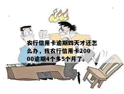 农行信用卡逾期四天才还怎么办，我农行信用卡20000逾期4个多5个月了。