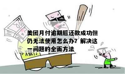 美团月付逾期后还款成功但仍无法使用怎么办？解决这一问题的全面方法