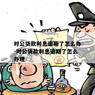 对公贷款利息逾期了怎么办-对公贷款利息逾期了怎么办理