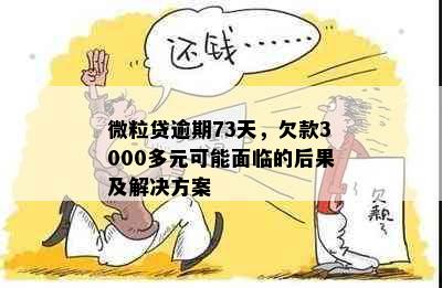 微粒贷逾期73天，欠款3000多元可能面临的后果及解决方案