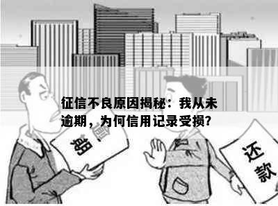 不良原因揭秘：我从未逾期，为何信用记录受损？