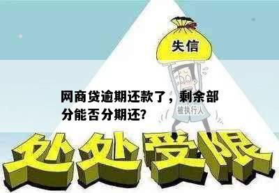 网商贷逾期还款了，剩余部分能否分期还？