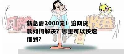 新急需2000元！逾期贷款如何解决？哪里可以快速借到？