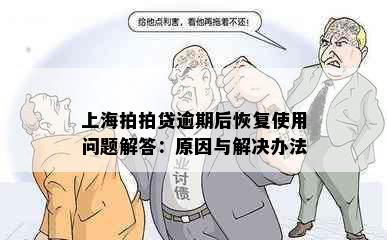 上海拍拍贷逾期后恢复使用问题解答：原因与解决办法