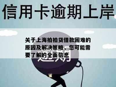 关于上海拍拍贷借款困难的原因及解决策略，您可能需要了解的全面信息