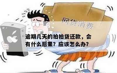 逾期几天的拍拍贷还款，会有什么后果？应该怎么办？